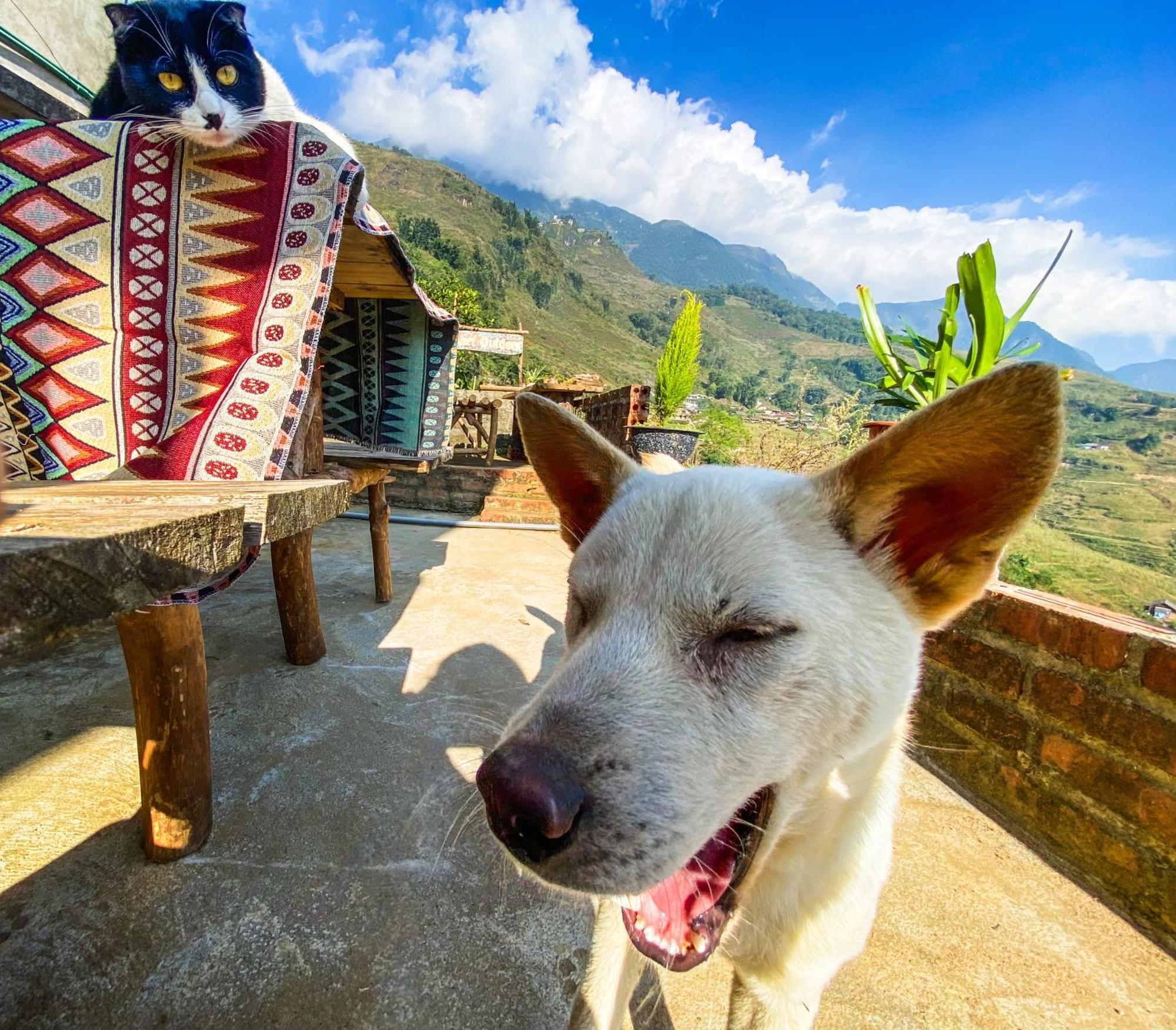 Pham'S House - Homestay & Cafe Sa Pa Ngoại thất bức ảnh
