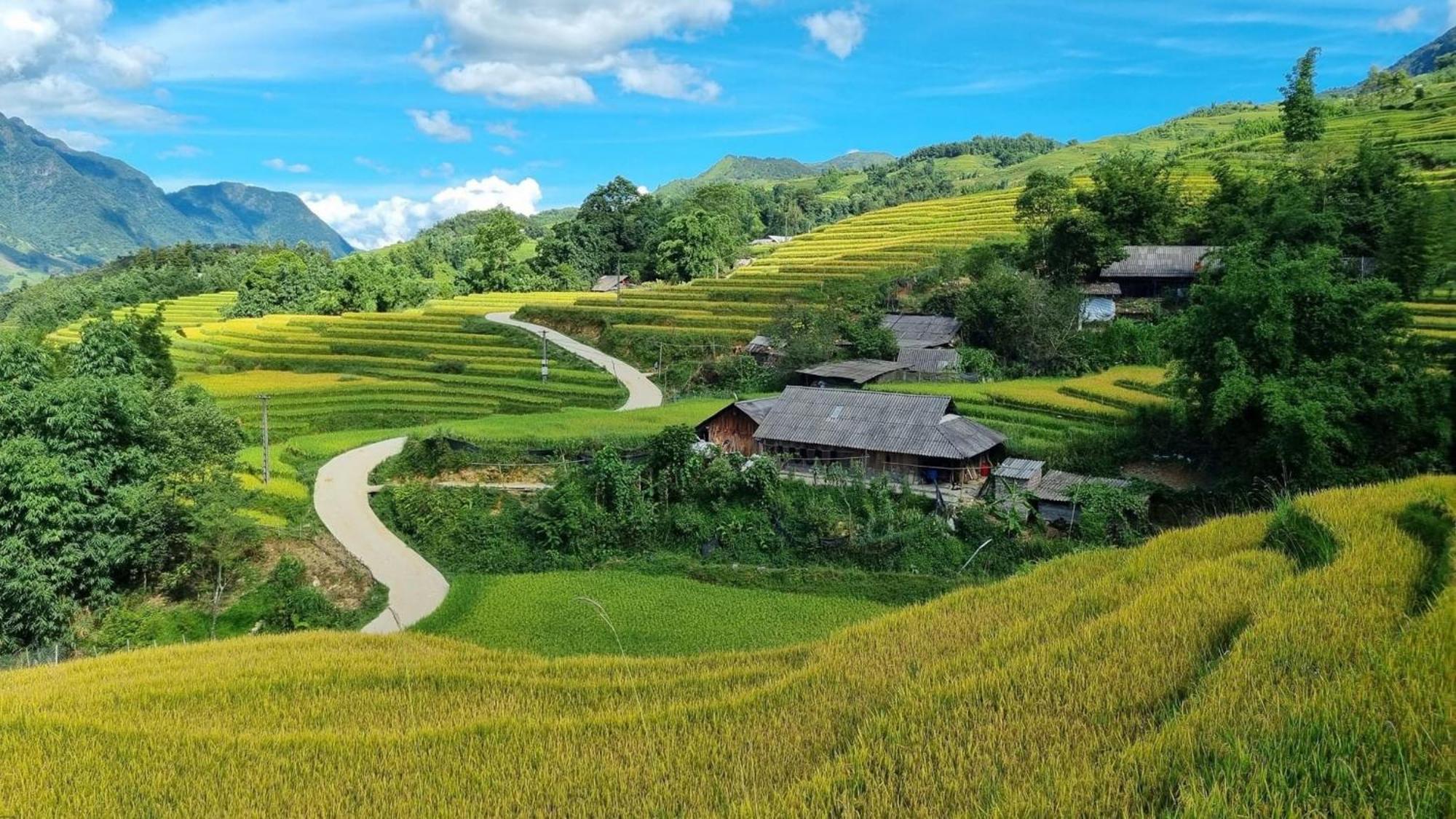 Pham'S House - Homestay & Cafe Sa Pa Ngoại thất bức ảnh